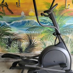 vision fitness x1400 elliptical